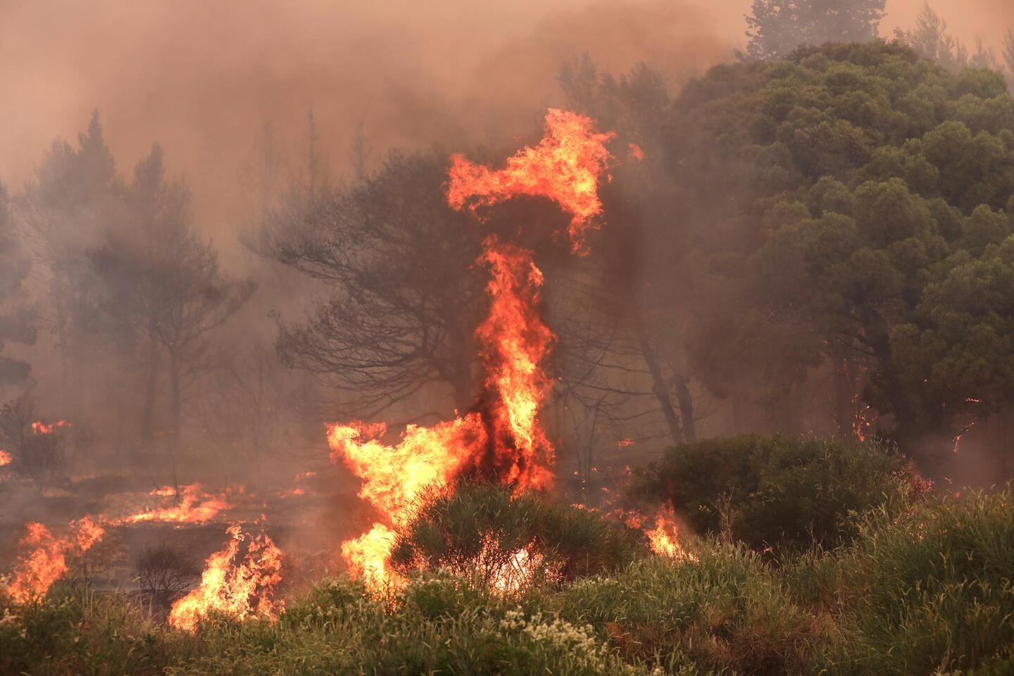 Gewonden bij een grote natuurbrand aan de Adriatische kust in Kroatië