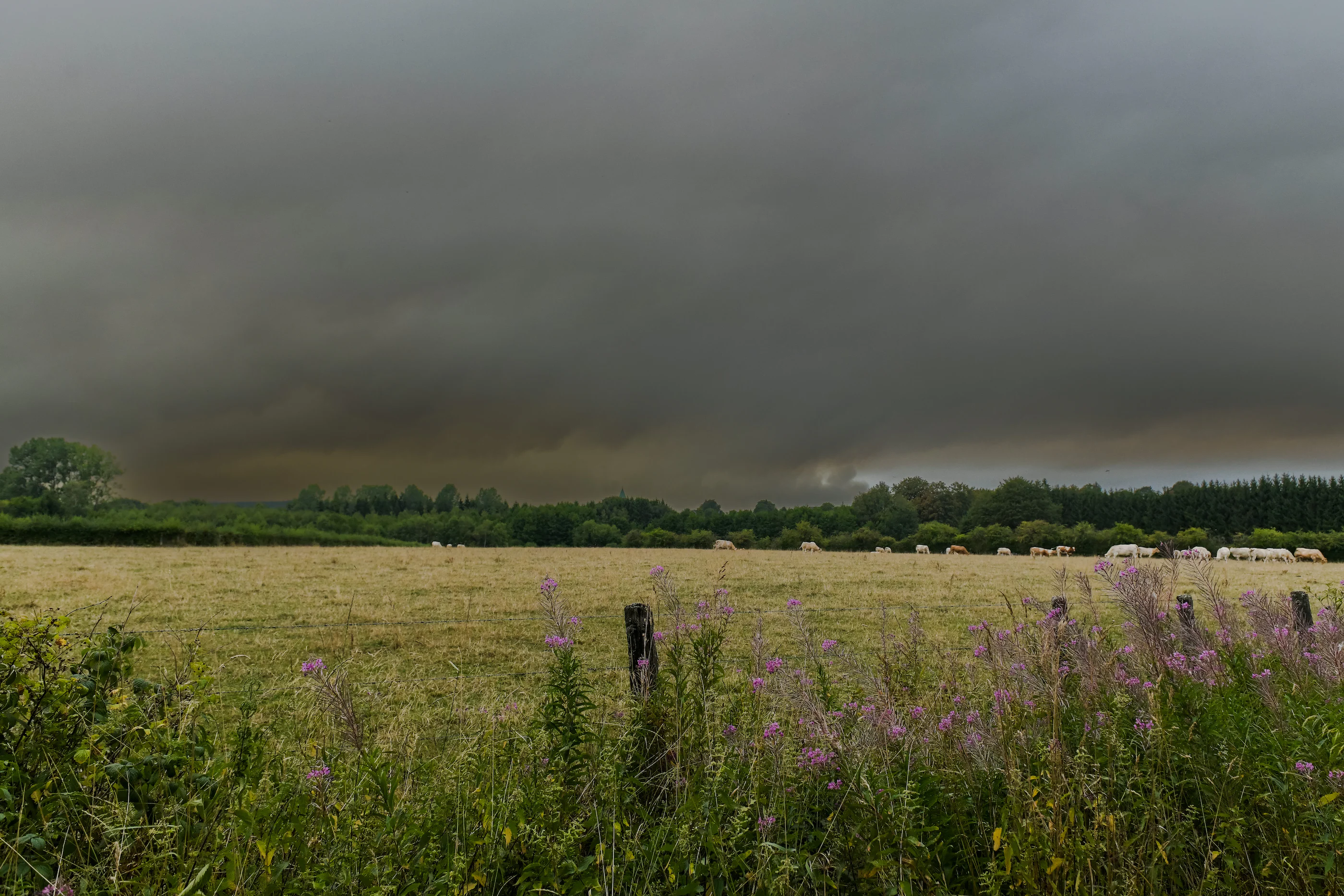 Enorme natuurbrand in Hoge Venen breidt uit richting Duitse grens